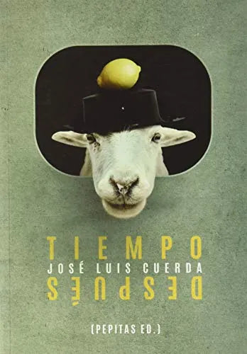 Libro Tiempo Despues