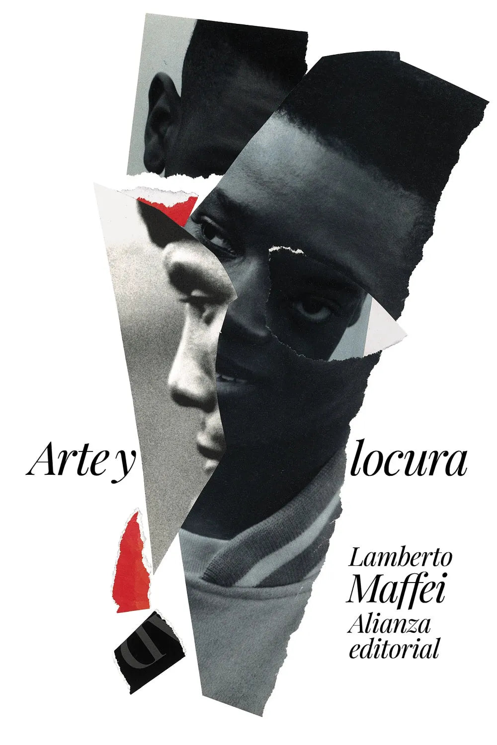 Libro ARTE Y LOCURA de MAFFEI LAMBERTO en Colombia, ensayo