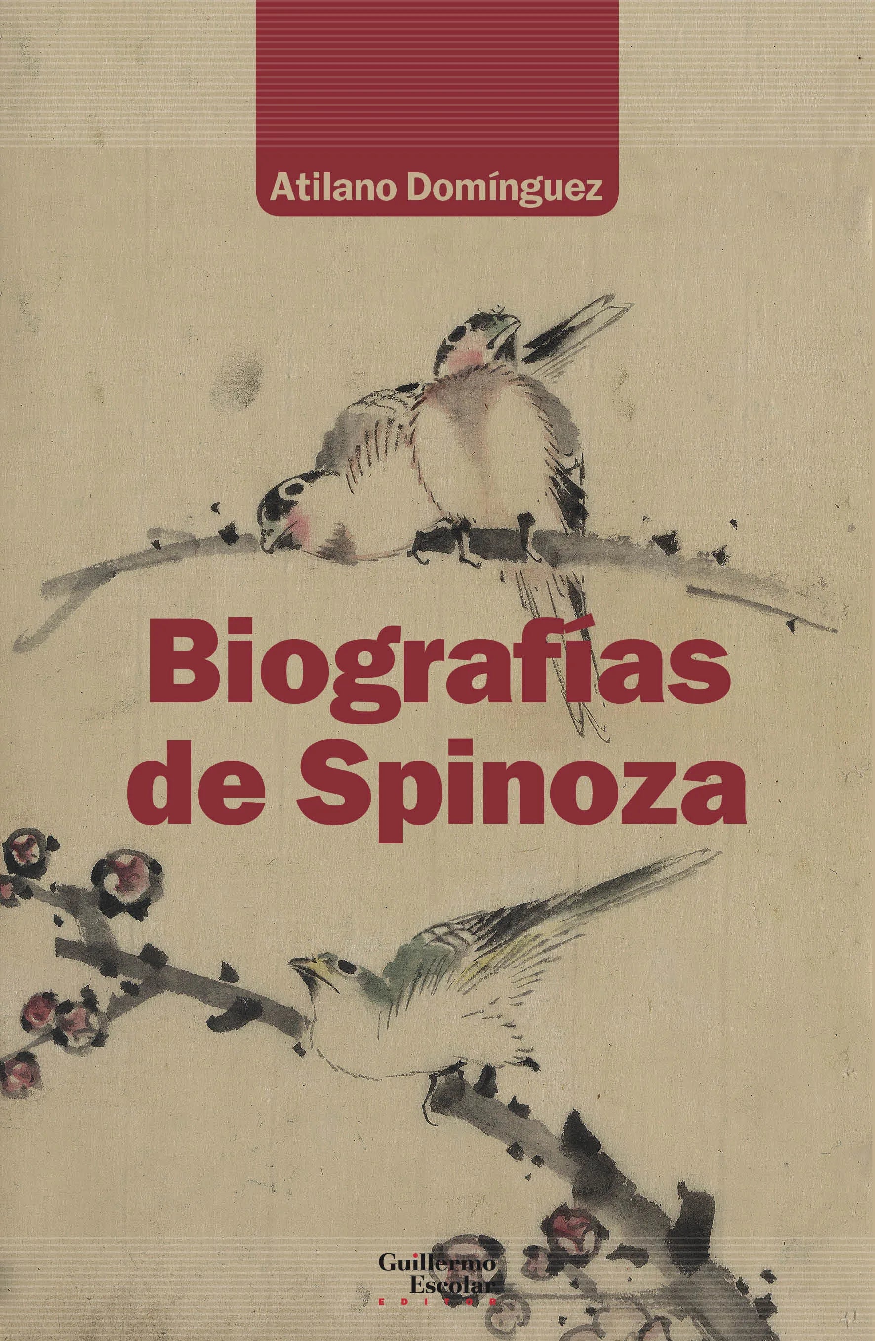 Libro BIOGRAFIAS DE SPINOZA de DOMINGUEZ ATILANO- ED. en Colombia, biografia