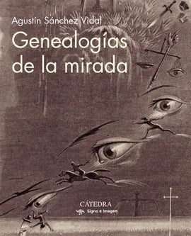 Libro GENEALOGIAS DE LA MIRADA de SANCHEZ VIDAL AGUSTIN en Colombia, estetica