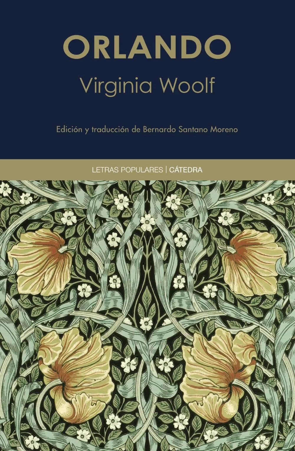 Libro ORLANDO de WOOLF VIRGINIA en Colombia, literatura