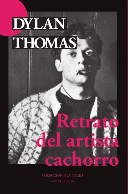 Libro RETRATO DEL ARTISTA CACHORRO de THOMAS DYLAN en Colombia, literatura