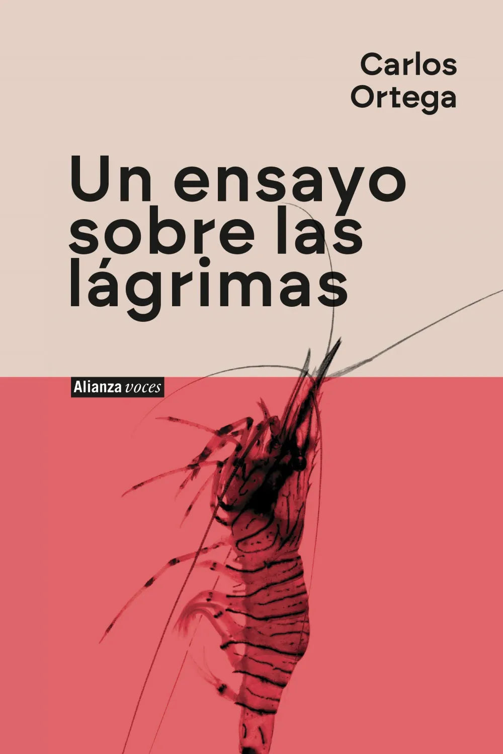 Libro UN ENSAYO SOBRE LAS LAGRIMAS de ORTEGA CARLOS en Colombia, literatura