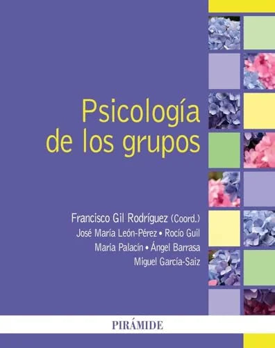 Libro PSICOLOGIA DE LOS GRUPOS de GIL RODRIGUEZ FRANCISCO Y JOSE MARIA LEON PEREZ en Colombia, psicologia