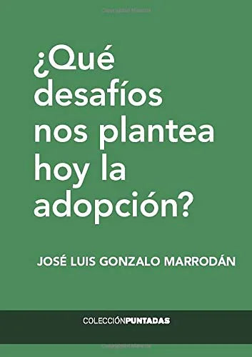 Libro QUE DESAFIOS NOS PLANTEA HOY LA ADOPCION de GONZALO MARRODAN JOSE LUIS en Colombia, psicologia