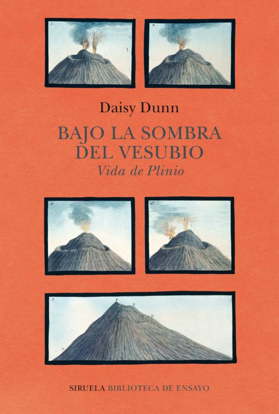 Libro Bajo La Sombra Del Vesubio: Vida De Plin