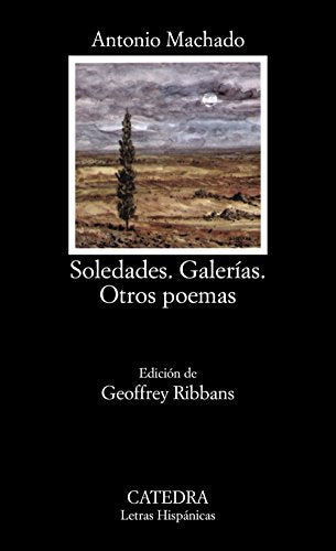 Libro Soledades, Galerias, Otros Poemas
