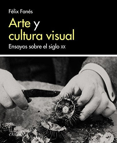 Arte Y Cultura Visual, Ensayos Sobre El - Icaro Libros